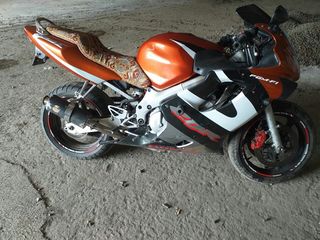 Honda Cbr 600f4 foto 3