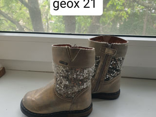 Продам сапоги  Ecco, Geox и др foto 4