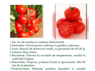 semințe profesionale de tomate, create de Sakata foto 8