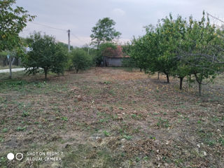 Vând Lot de casă in iurievca Cimișlia foto 6