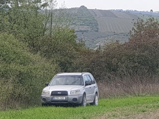 Subaru Forester foto 2