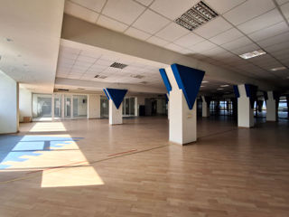 Spațiu Comercial / Reprezentanta de Închiriat. 600 mp – str. Calea Iesilor 10 фото 7