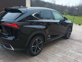 Lexus NX Series foto 3