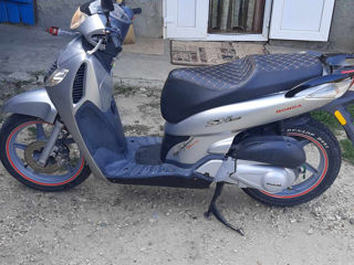 Honda sh 150i foto 6