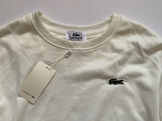 Lacoste sweatshirt men foto 2