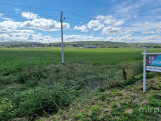 Se vinde teren agricol , Băcioi 26 ari! foto 2