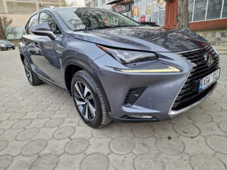 Lexus NX Series