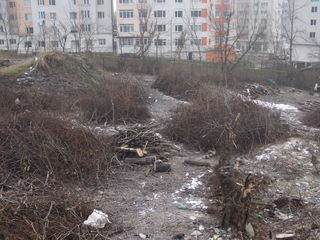 Копаем огороды. Вырубка деревьев. Чистка деревьев. Уборка территории foto 6