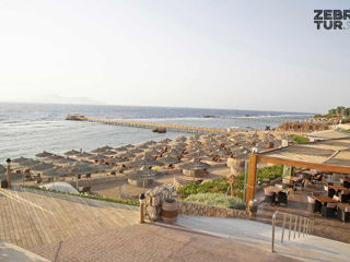 Egipt, Sharm El Sheikh - Cleopatra Luxury Resort Sharm El Sheikh 5* foto 5