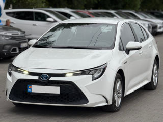Toyota Corolla фото 0