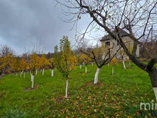 IP Ivancea, Orhei, Chișinău foto 14