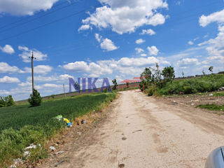 Земельный участок, район Дрокия, село Грибово foto 3
