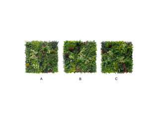 Perete decorativ GREENERY- B 100cm x 100cm (18184) foto 2