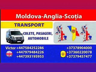 Anglia-Moldova-Scoția Transport pasageri colete foto 3