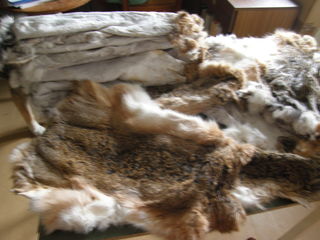 Шкурки зайца выделанные - по 60 леев, шкурки соболя (заводская выделка) - по 3000 леев, покрывало из