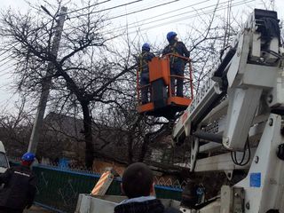 Tăierea copacilor! Toata Moldova foto 3