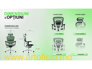 Scaun ergonomic Ergohuman Luxury 2 - este proiectat pentru a asigura confortul spatelui dvs. foto 20