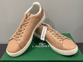 Lacoste foto 5