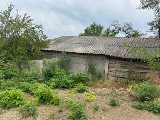 Se vinde casa în Zazuleni Noi,raionul Ungheni foto 4