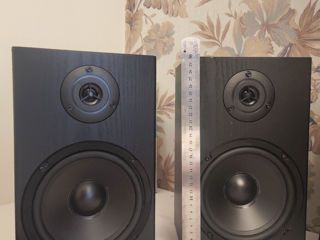 Pioneer SX225 + McGrey BSS265 foto 3