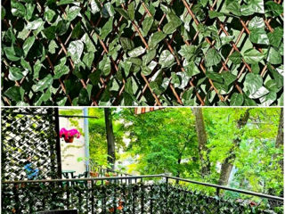 Panouri de perete verzi artificiale/Искусственные зеленые стеновые панели. foto 6