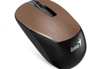 Wireless Mouse Genius Nx-7015, Optical, 800-1600 Dpi, 3 Buttons, Ambidextrous,Blueeye,1Xaa,Chocolate