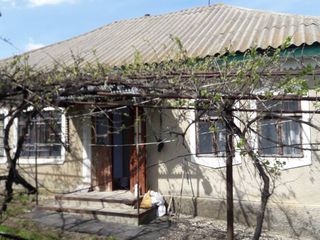 Urgent!!! Se vinde casa in raionul Anenii Noi, satul Todiresti foto 3