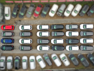Ford Focus foto 4