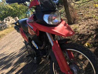 Viper Vxr350 foto 4