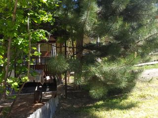 Vila in Dumbrava la 2.5 km de la Buiucani cu foisoare  si 2 tipuri de sauna noua pe lemne! foto 9