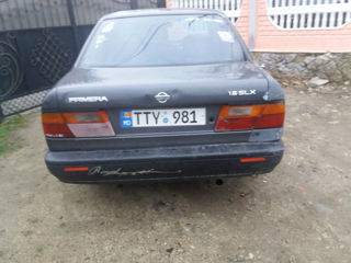 Nissan Primera foto 3