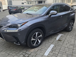 Lexus NX Series foto 4