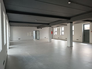 Chirie spaţiu comercial str.Uzinelor, 1300m2 foto 15