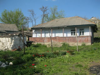 Дом возле трассы, 35 соток, срочно 11км от Кишинева foto 1