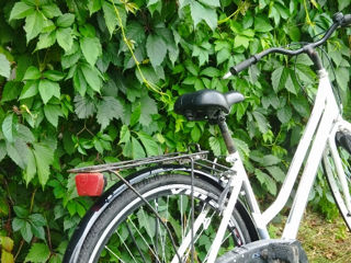 se vinde bicicleta urgent foto 1