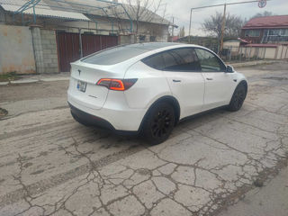 Tesla Model Y foto 3