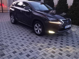 Lexus NX Series