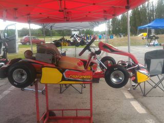 Alte mărci Karting foto 5