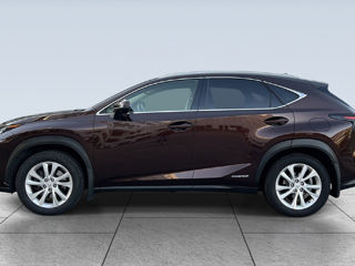 Lexus NX Series