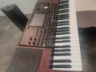 Korg pa 1000 foto 2