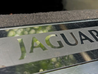 Jaguar Altele foto 8