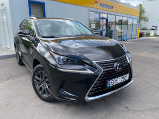 Lexus NX Series