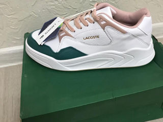 Lacoste original,new foto 3