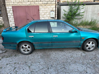 Nissan Primera foto 2