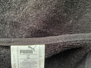 Puma prosop foto 3