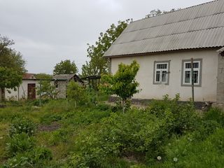 Продам дачу срочно! foto 4