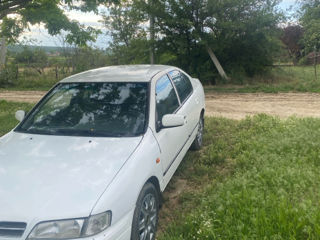 Nissan Primera foto 1