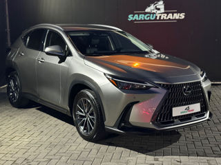 Lexus NX Series