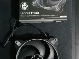 Arctic BioniX P140