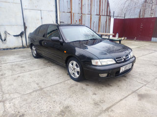 Nissan Primera foto 2